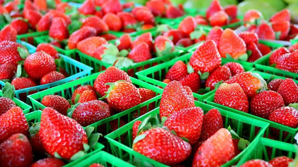 Lynx Purchasing better availability of British berries