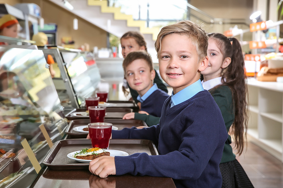 Lynx Purchasing - School Meals