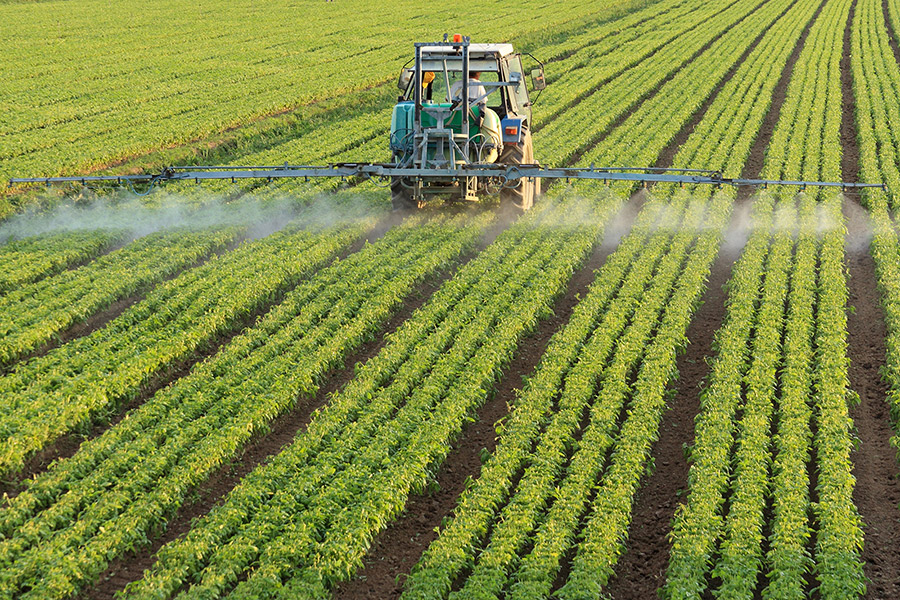 British produce best value this Summer