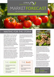 Market Forecast - Summer 2026
