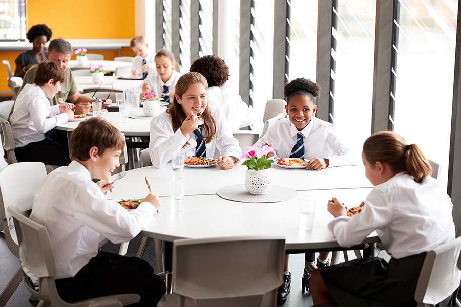 Lynx Purchasing School Catering